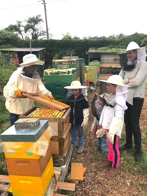 faszinierte Kinder lassen sich den Aufbau einens Bienevolkes erklären