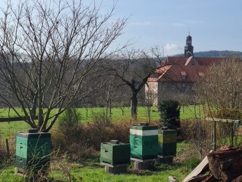 Blick zum Kloster mit einem Holzstapel im Vordergrund und Bienenbeuten dahinter